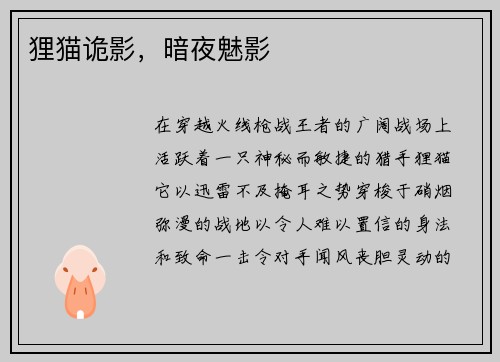 狸猫诡影，暗夜魅影